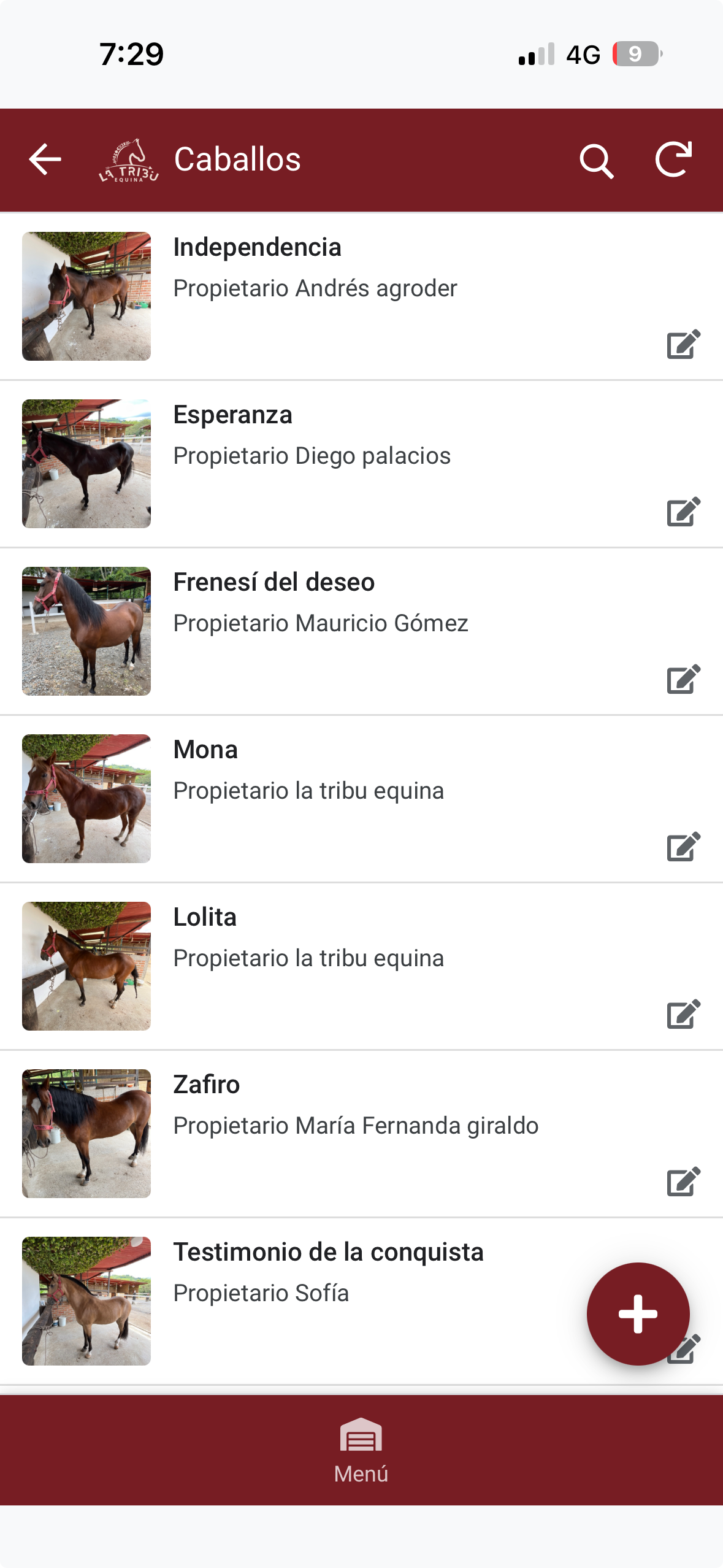 Ficha Caballos Tribu Equina